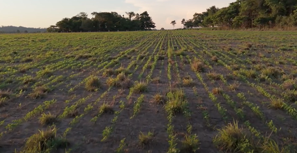 27 MUNICÍPIOS DE MATO GROSSO DECRETAM SITUAÇÃO DE EMERGÊNCIA